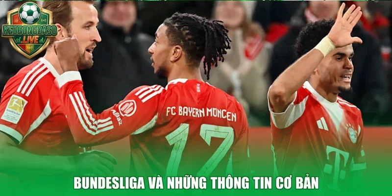 Bundesliga và những thông tin cơ bản
