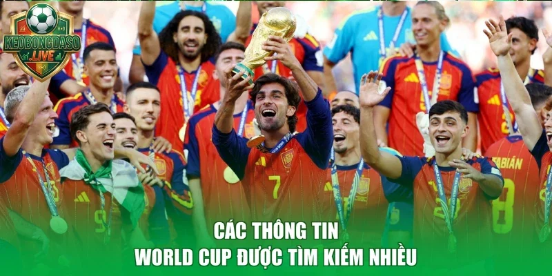Các thông tin World Cup được tìm kiếm nhiều