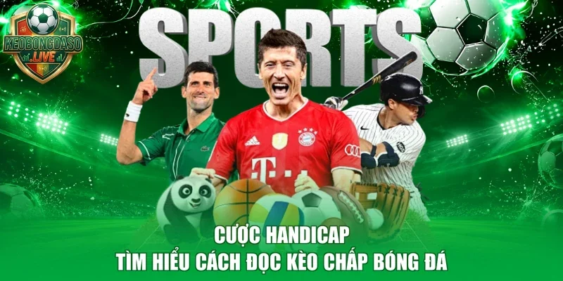 Cược Handicap - Tìm Hiểu Cách Đọc Kèo Chấp Bóng Đá