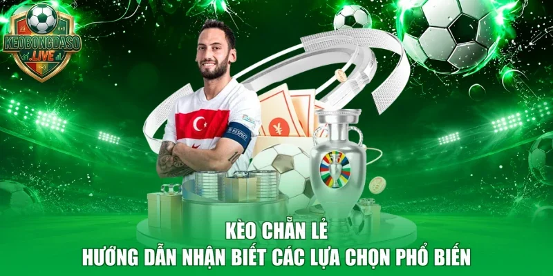 Kèo Chẵn Lẻ - Hướng Dẫn Nhận Biết Các Lựa Chọn Phổ Biến