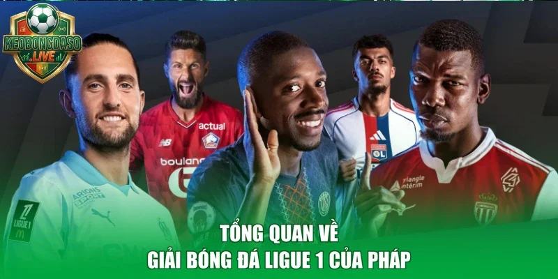 Tổng quan về giải bóng đá Ligue 1 của Pháp
